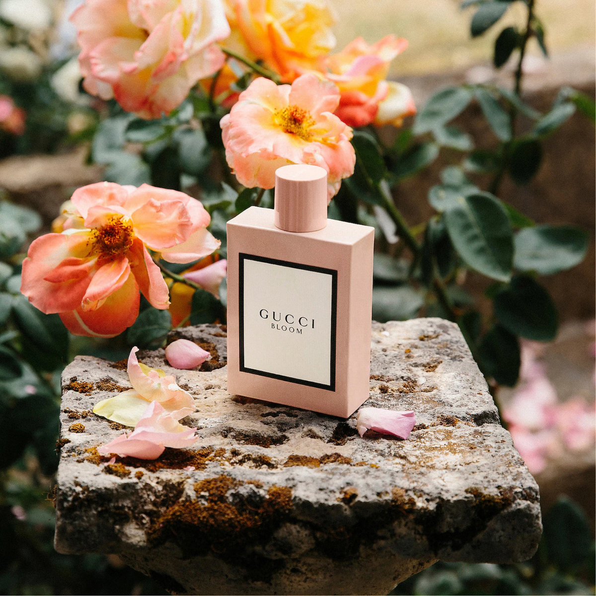 Gucci Bloom Eau de Parfum for Women Perfume Network India