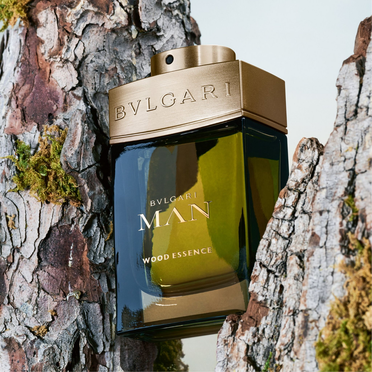 Bvlgari man wood essence by bvlgari eau de parfum spray new arrivals