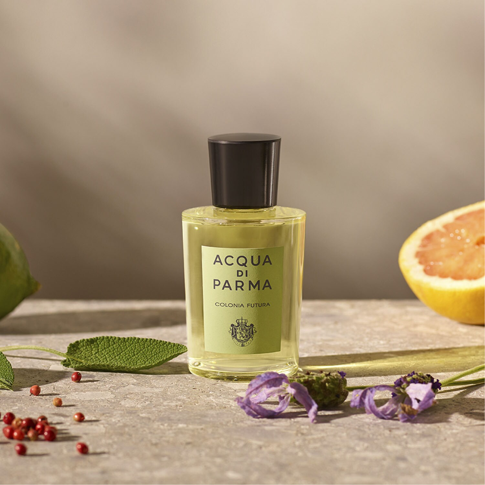 Acqua di Parma Colonia Futura Eau de Cologne for Men – Perfume Network India