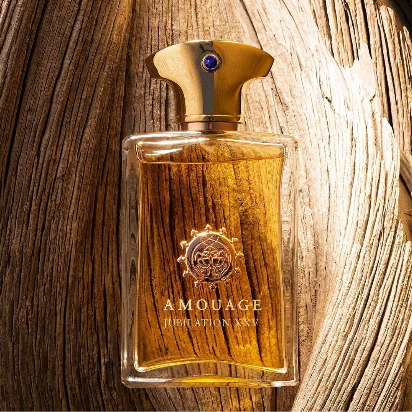 Amouage Jubilation XXV Man Eau de Parfum for Men Perfume Network