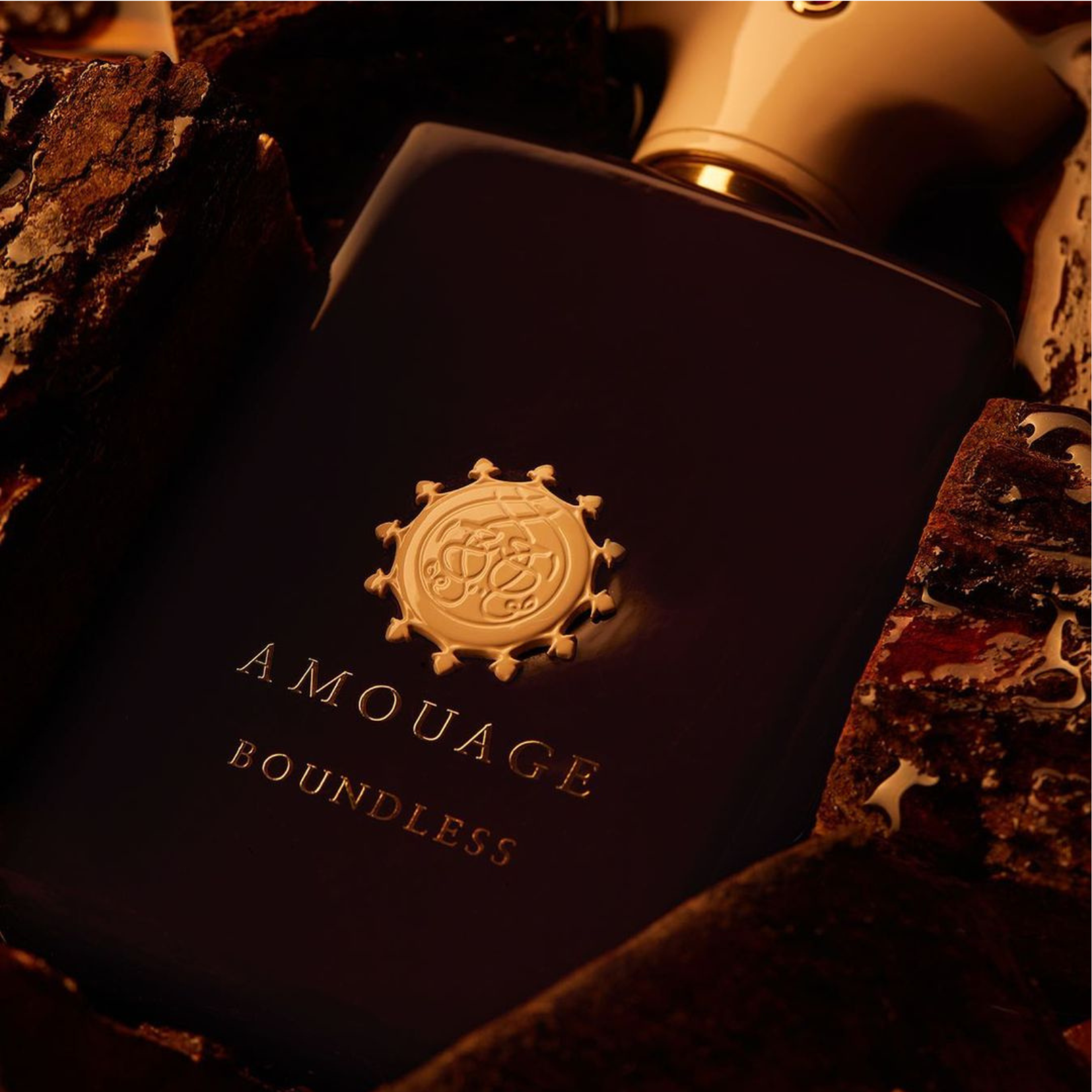 Amouage Boundless Eau de Parfum Perfume Network India