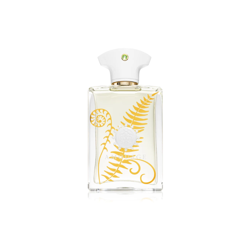 Amouage Bracken Man Eau de Parfum