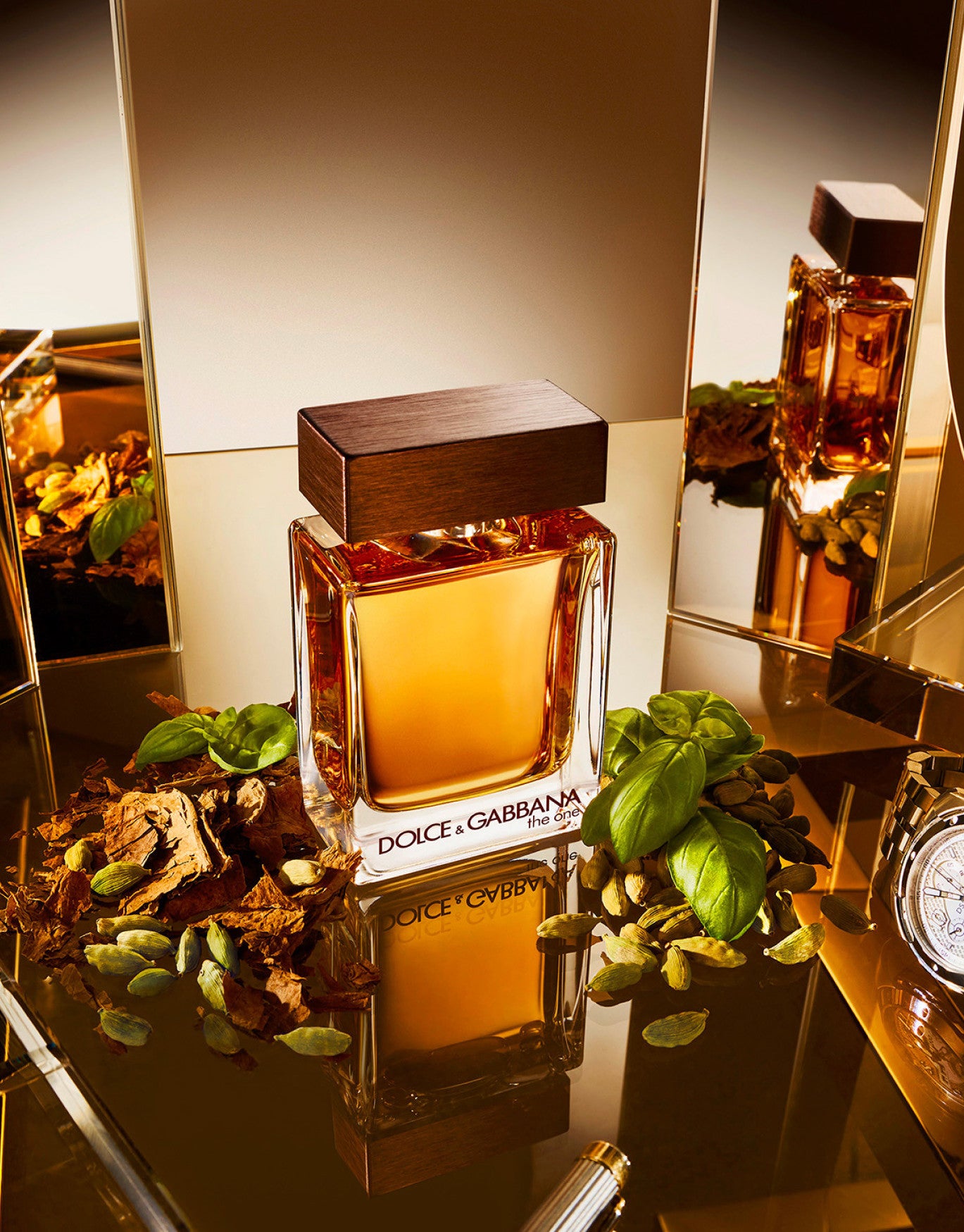 The one dolce gabbana edt new arrivals